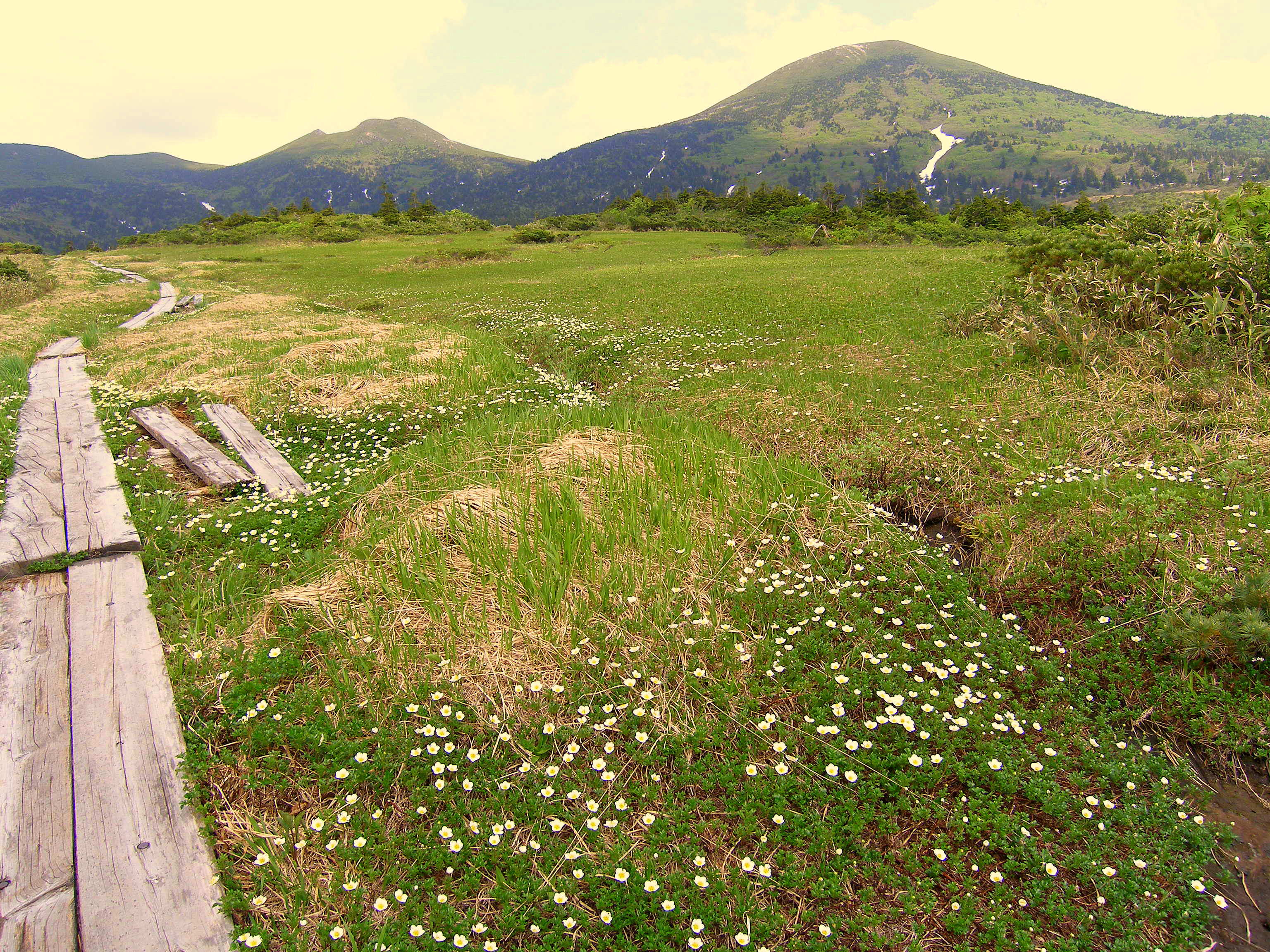 O-dake from Kenashi-tai