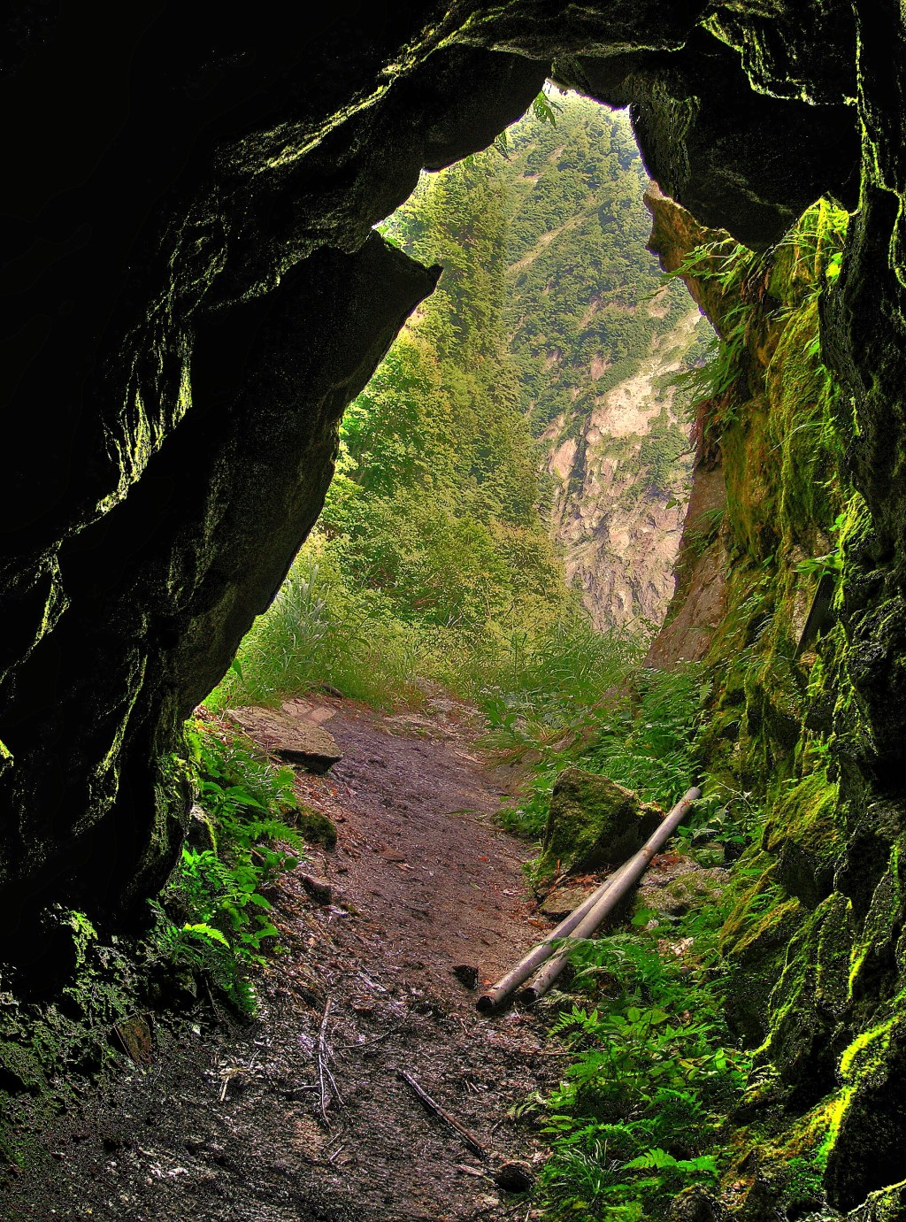 THE HORIZON TRAIL (PART&nbsp;1)