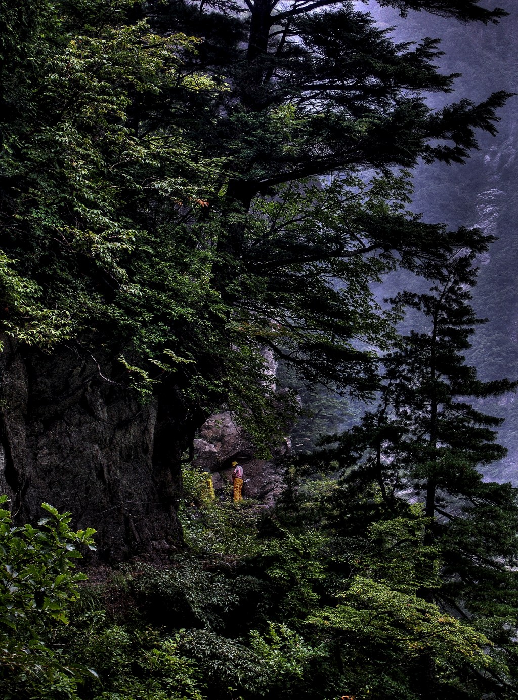 THE HORIZON TRAIL (PART&nbsp;2)